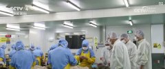<b>务院食安办等六部分印发《食物添加剂问题分析</b>